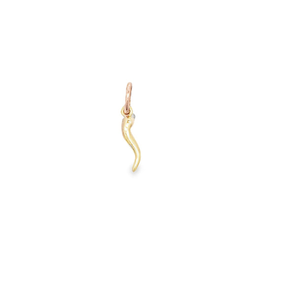 PENDENT 9CT YELLOW GOLD CORNICELLO/ CHILL15MM PLUS BAIL